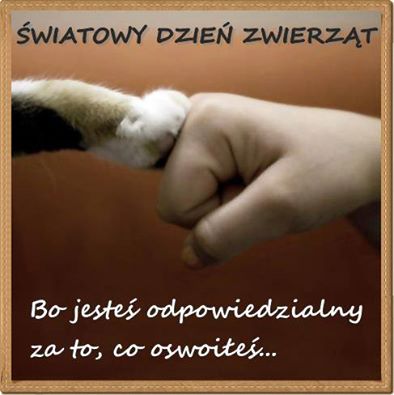 Światowy Dzień Zwierząt 2016